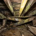 Rotted wooden beams with mold in a dark, damp crawl space environment