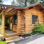 How Long Do Log Cabins Last? A Complete Guide to Lifespan and Longevity