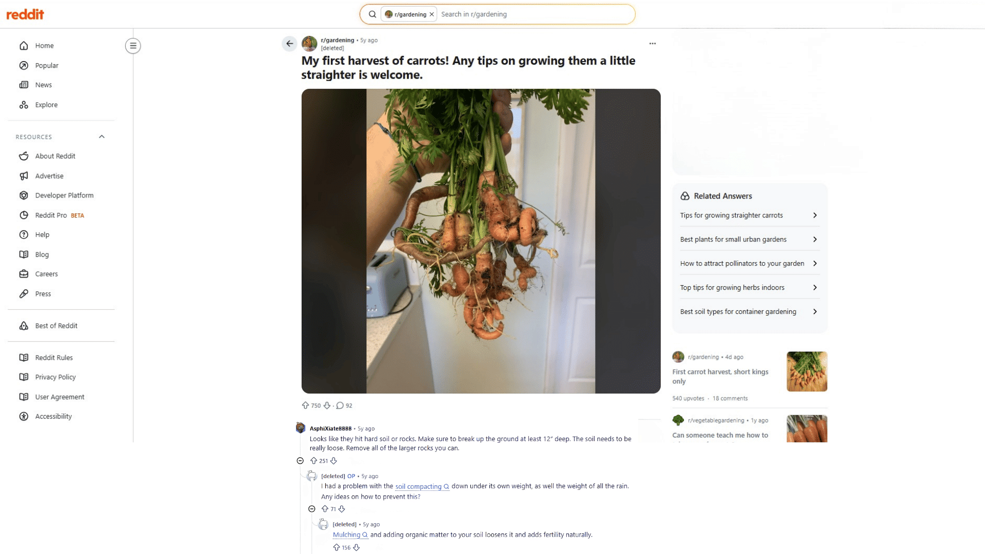 a reddit post showing twisted harvested carrots with gardening advice and comments on growing straighter carrots