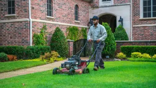 Landscaping Company in Louisiana