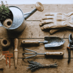 gardening tools every gardener should know arranged on a rustic wooden table indoors