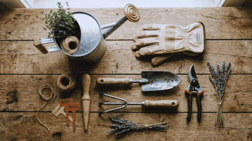 gardening tools every gardener should know arranged on a rustic wooden table indoors