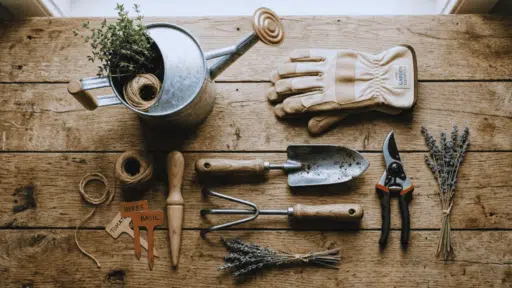 gardening tools every gardener should know arranged on a rustic wooden table indoors