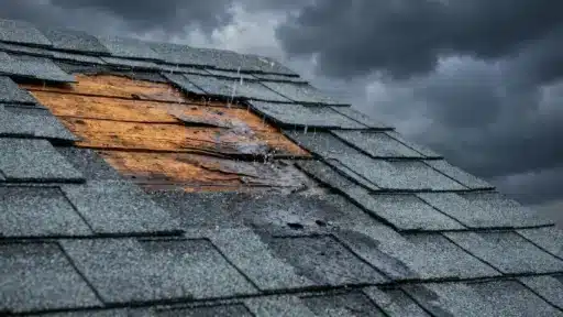 Damaged roof with missing shingles and exposed wood during rainy weather