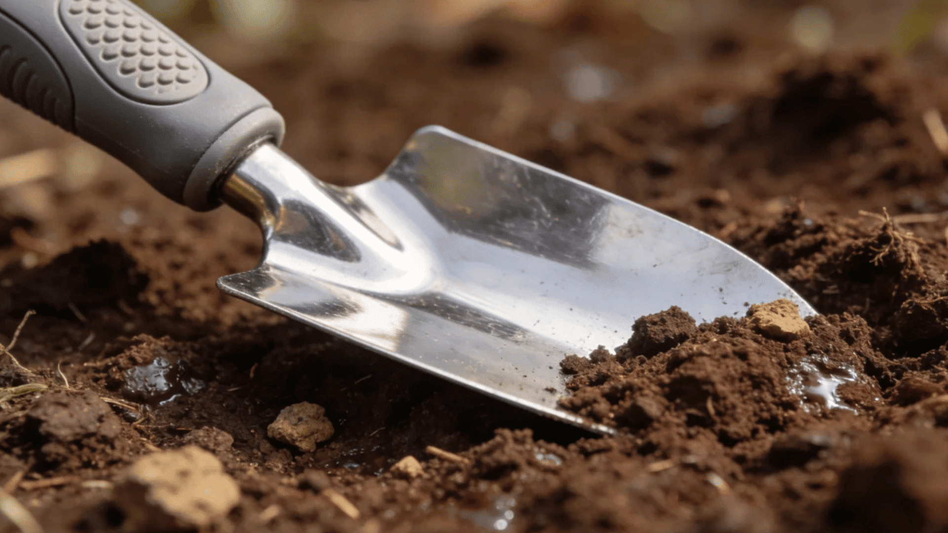 metal garden trowel digging through moist soil in a backyard garden bed