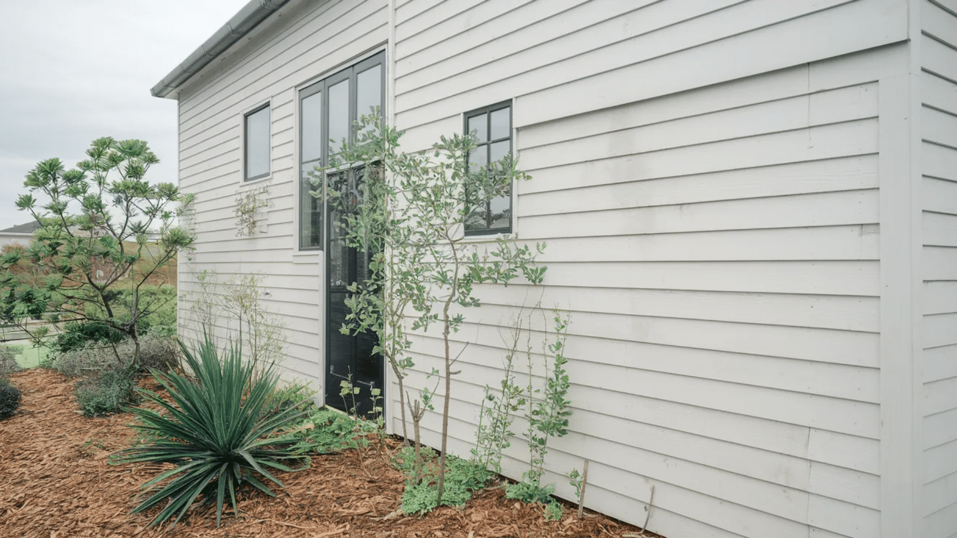 modern house exterior with light horizontal siding black door narrow windows and landscaped plants along mulched garden bed