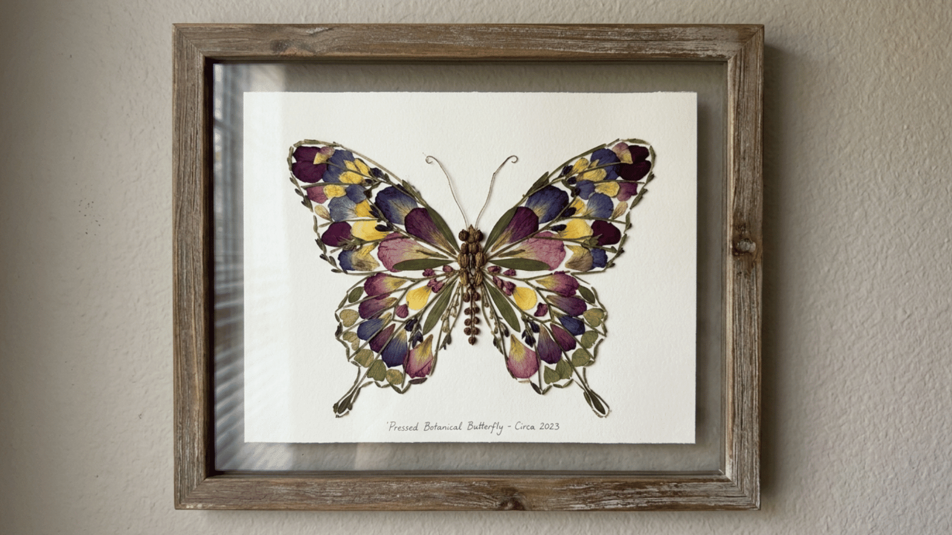 pressed flower butterfly artwork framed and displayed with soft natural theme on the wall