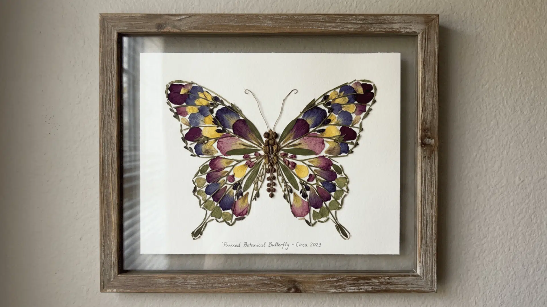 pressed flower butterfly artwork framed and displayed with soft natural theme on the wall