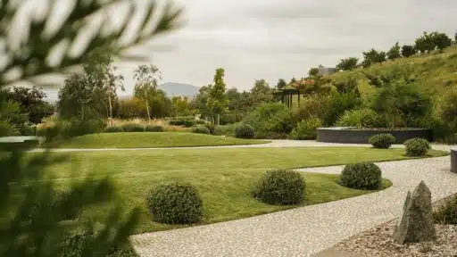 Landscaping