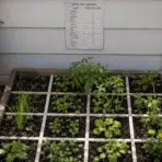 raised garden bed with small vegetable plants growing in square sections beside a wooden deck and wall chart