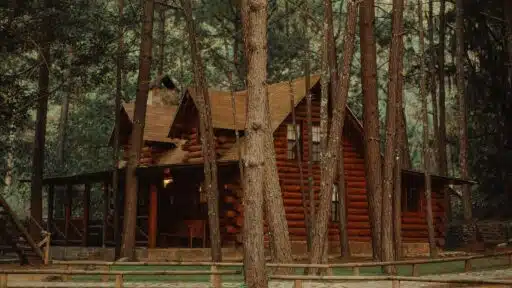 How Weather Conditions Impact Log Cabin Maintenance Needs