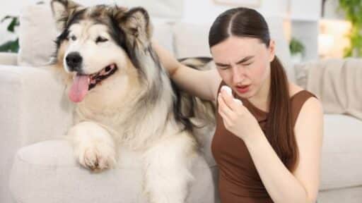 Dog’s Immunity