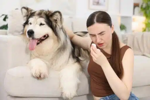 Dog’s Immunity