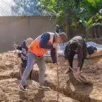 Construction workers digging soil trenches in an outdoor setting under bright sunlight