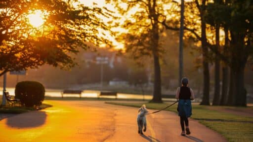 How Everyday Routines Quietly Shape the Way We Spend Without Realizing It