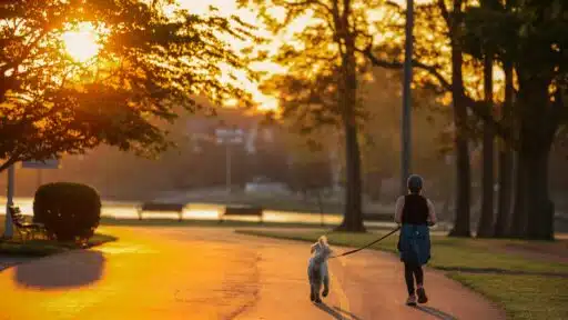 How Everyday Routines Quietly Shape the Way We Spend Without Realizing It