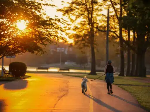 How Everyday Routines Quietly Shape the Way We Spend Without Realizing It