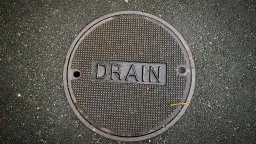 Manhole cover labeled "DRAIN" on textured asphalt pavement