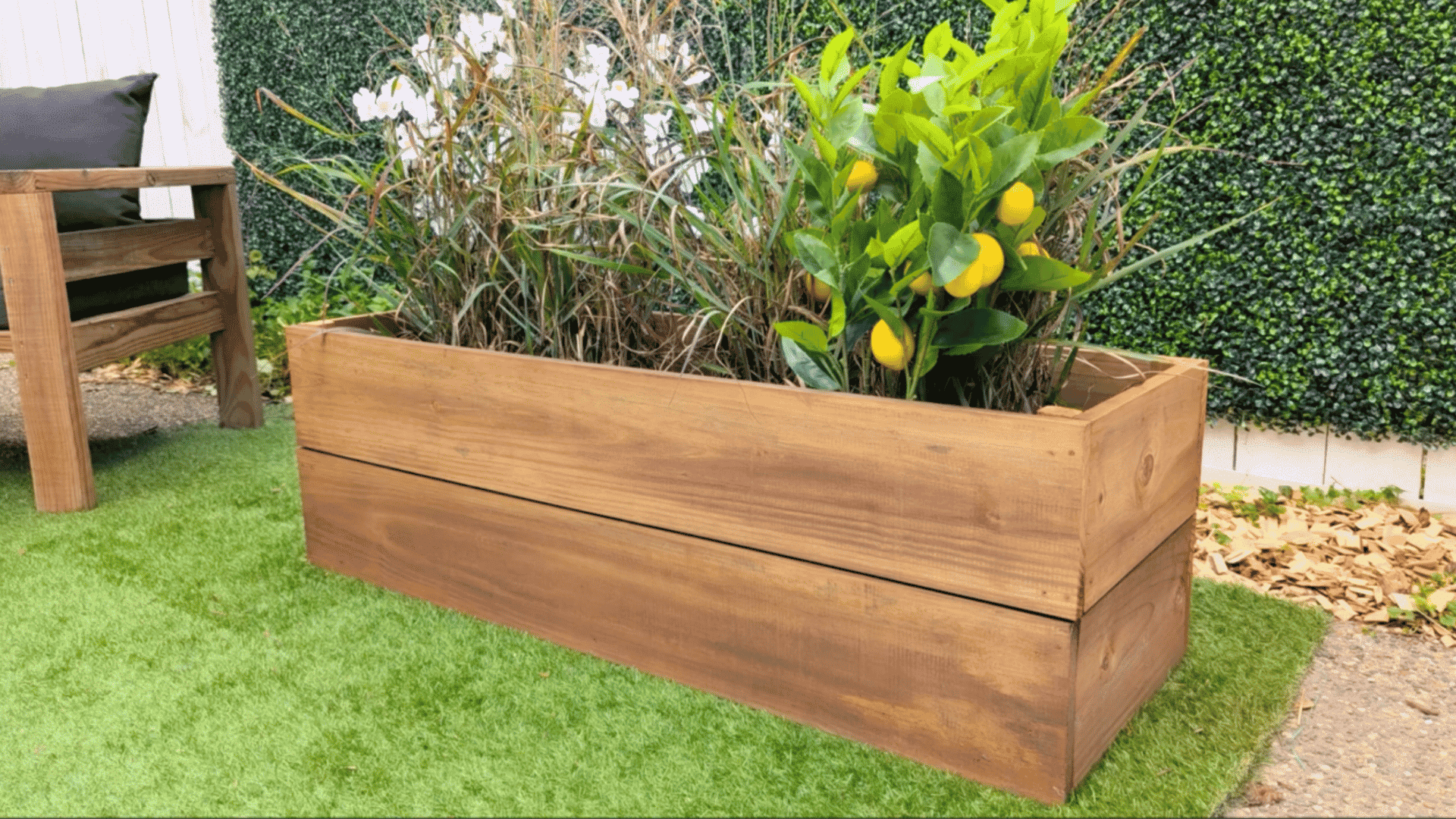 wooden plant box with lemon plant and white flowers sprouting out of it in a garden