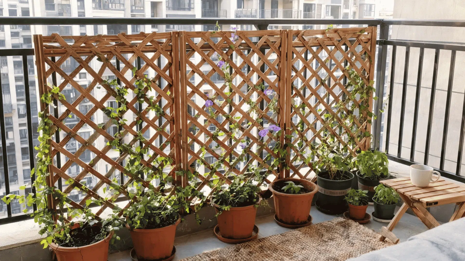 balcony privacy trellis with climbing vines and potted plants overlooking apartment buildings