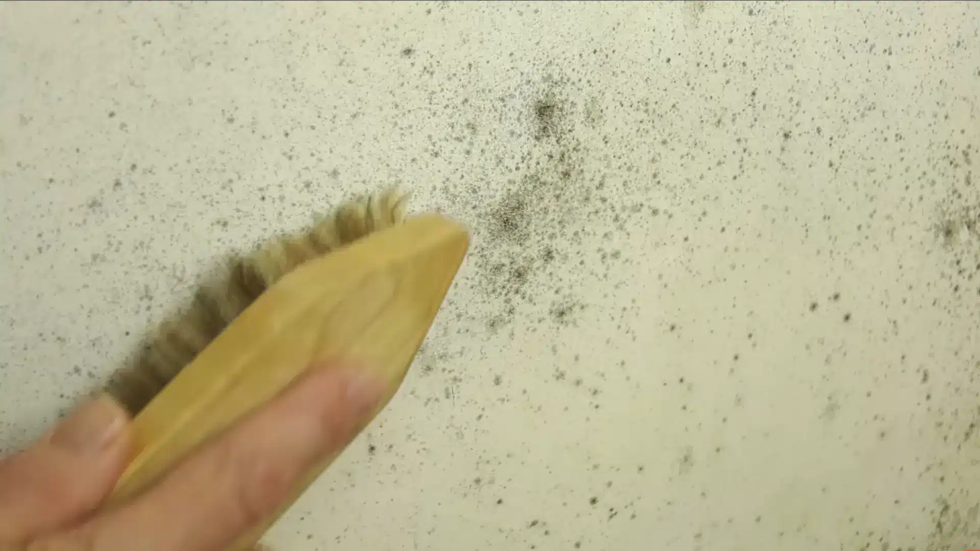 dark and green mold on a yellow wall being thoroughly brushed with a yelloy shoe brush to remove excess mold