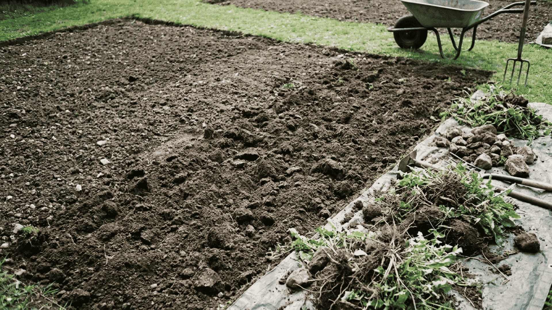 Clear weeds, stones, and debris before adding topsoil to create a clean planting surface.