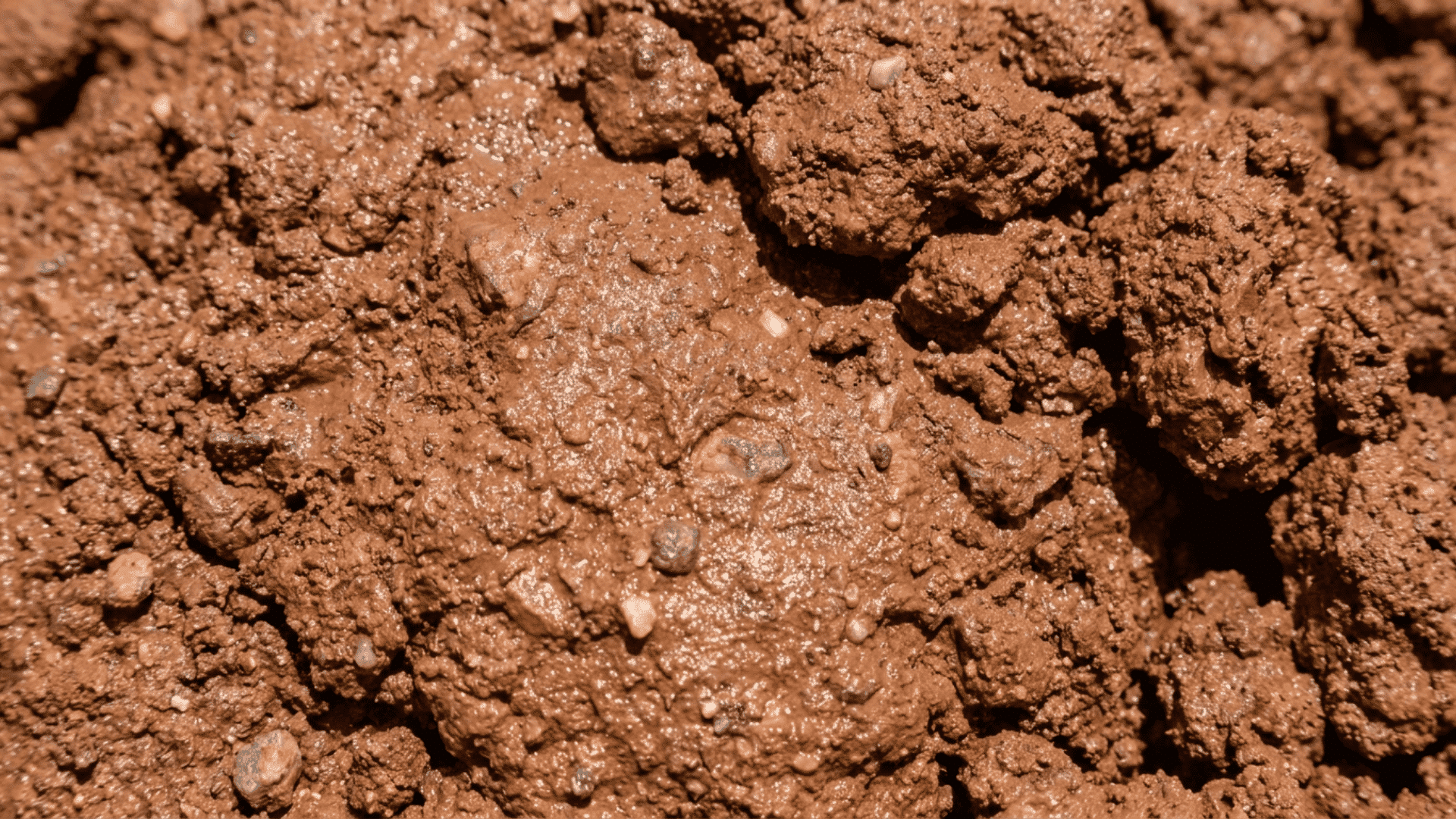 Close-up of dense clay-based topsoil with a sticky, compact texture, reddish-brown wet soil, small stones mixed throughout, realistic outdoor lighting.