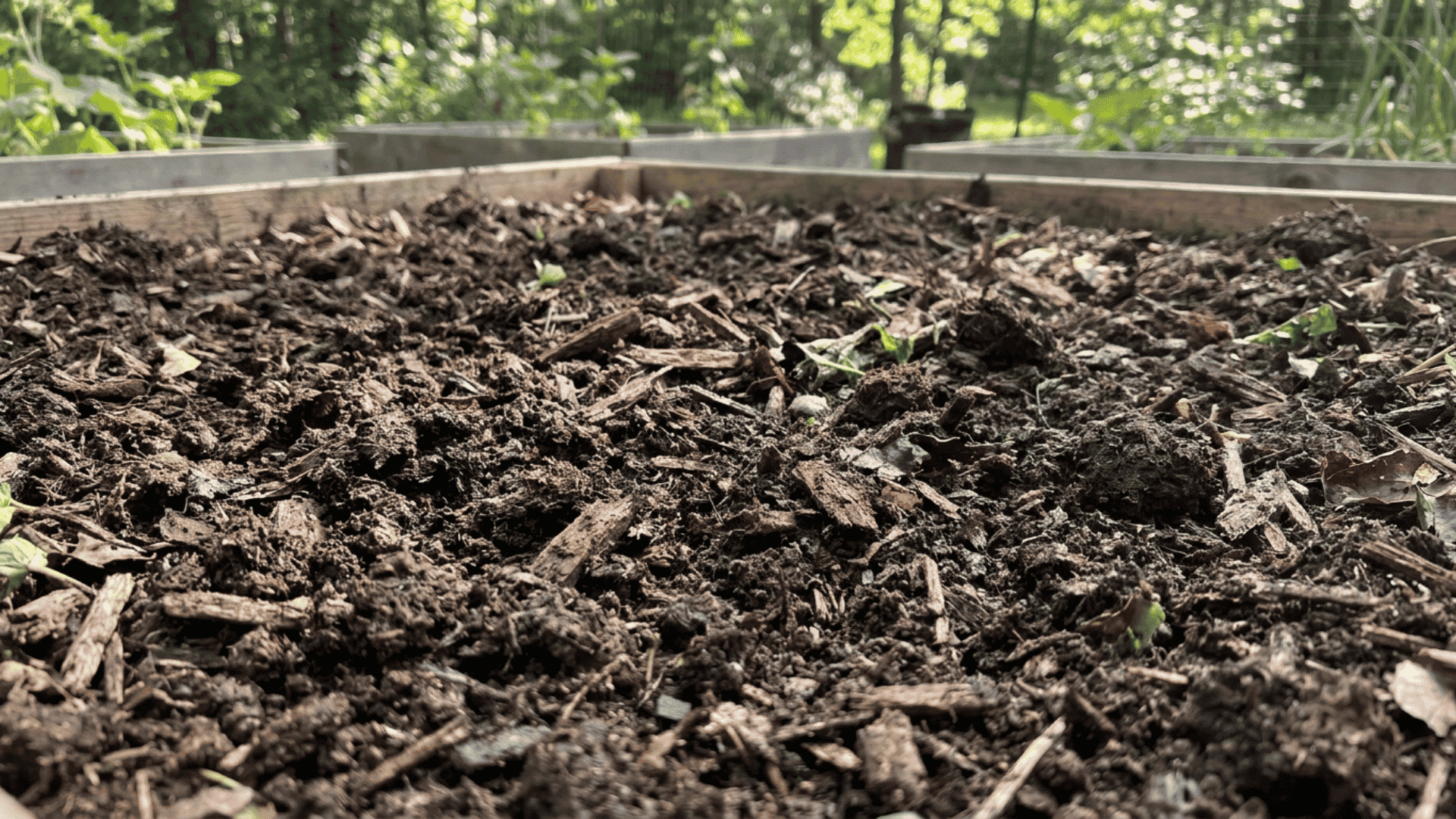 Close-up of organic-rich topsoil with dark fertile earth, visible wood chips and decomposed organic matter, nutrient-rich garden soil in a raised bed, realistic outdoor lighting.