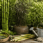 essential tools and bamboo varieties every gardener needs for successful care