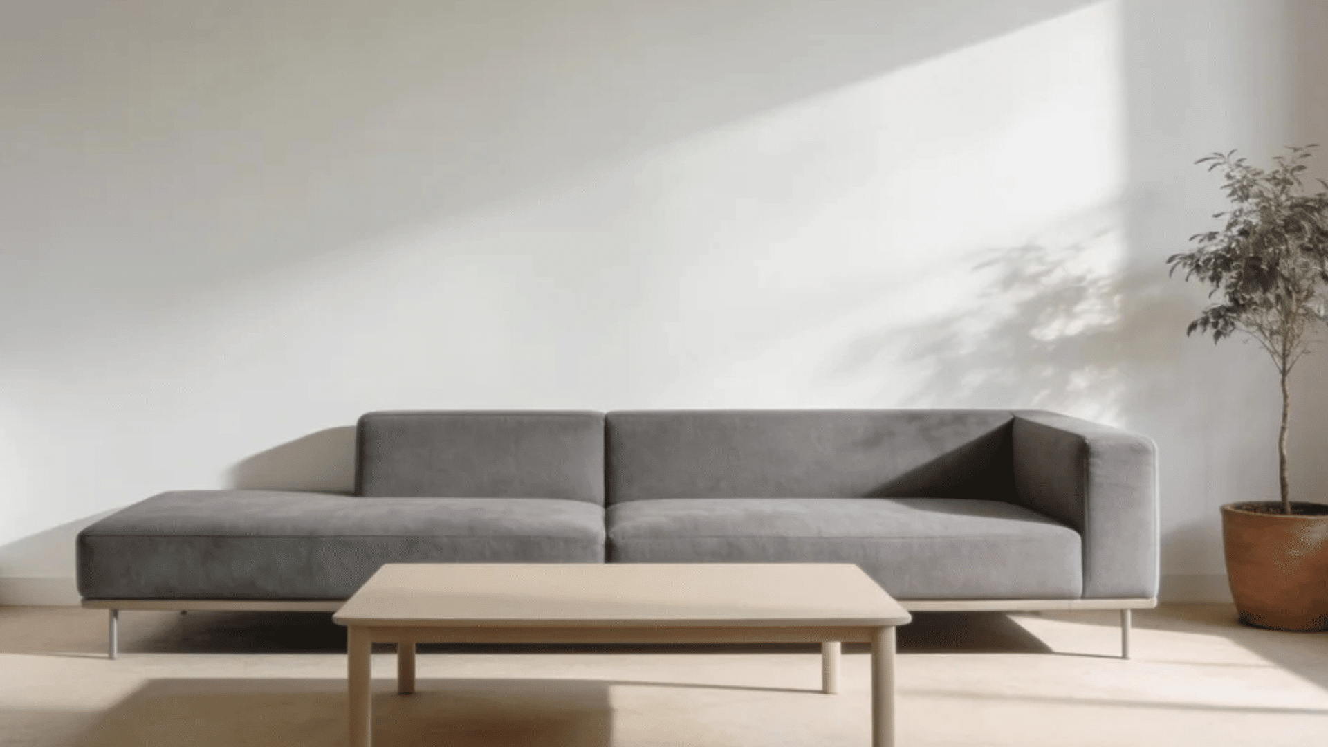 gray sofa with wooden coffee table and plant in modern bright living room