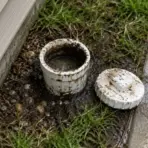 open residential sewer cleanout pipe with dirty standing water beside wet soil, grass, and a suburban concrete walkway