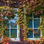 Window Frame Colours Are the Exterior Upgrade Everyone Forgets