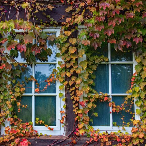Window Frame Colours Are the Exterior Upgrade Everyone Forgets