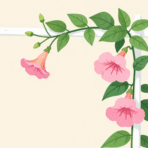 pink trumpet shaped mandevilla flowers climbing a white garden trellis with glossy green leaves in soft daylight