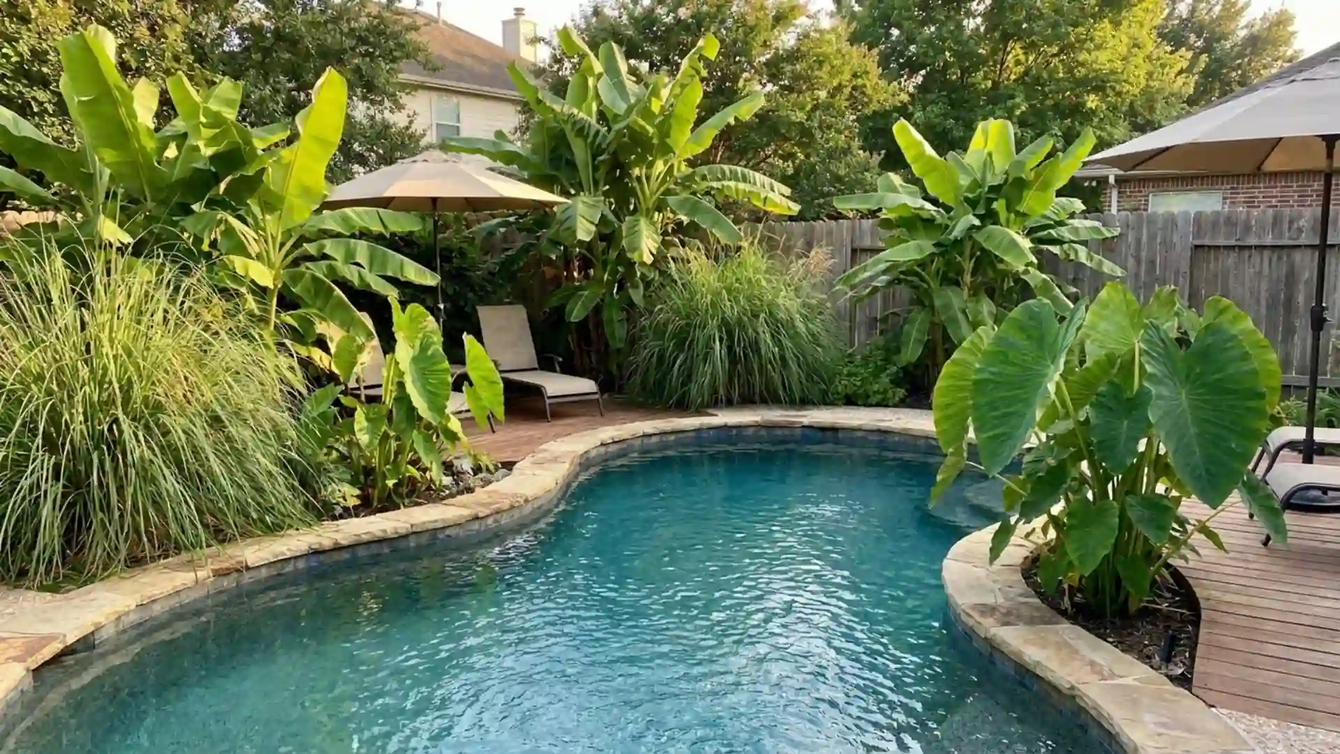 tropical backyard pool with banana plants, tall grasses, lounge chairs, and natural privacy landscaping outdoors