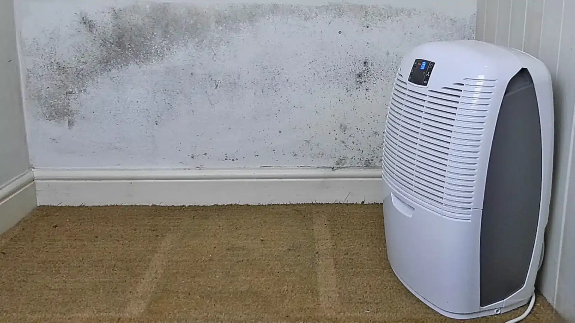 humidifier in front of a moldy wall trying to heat and dehumidify the atmosphere so that further mold doesn't form