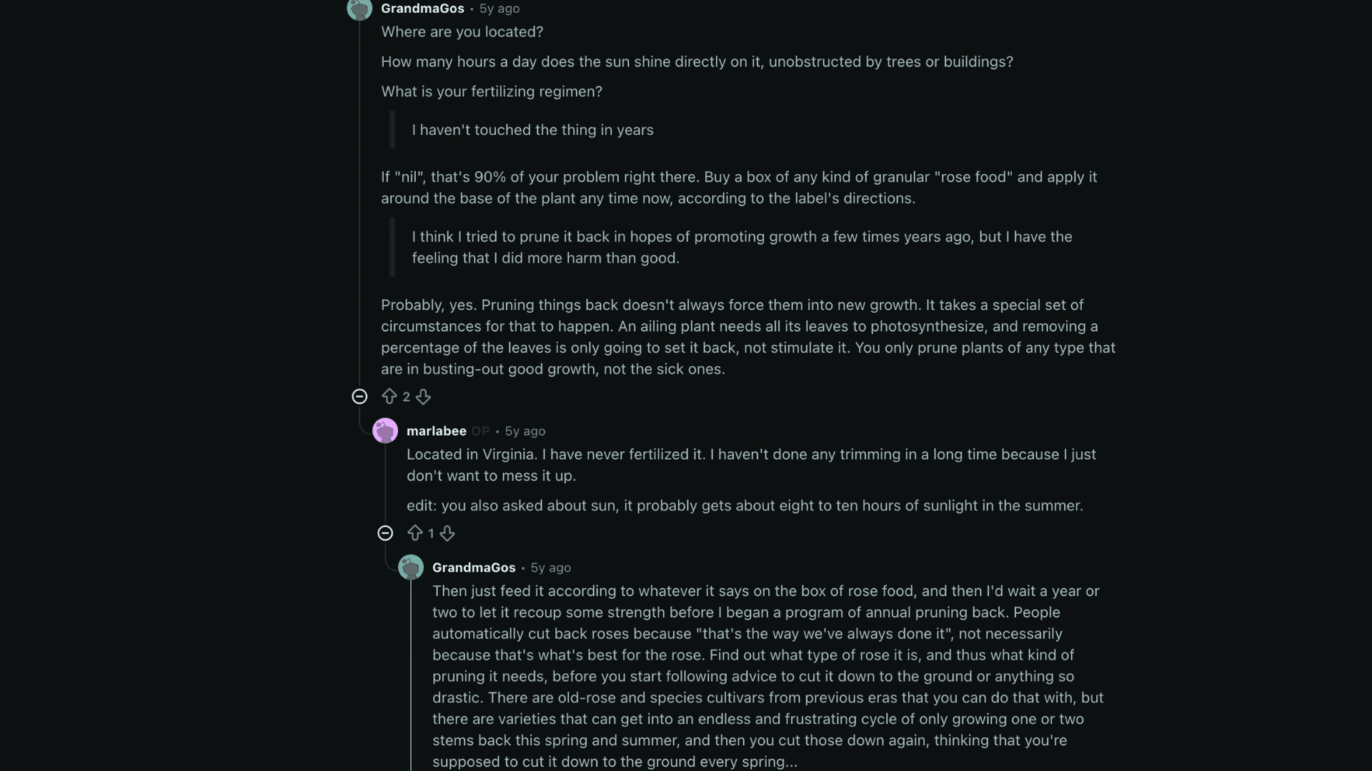 Reddit discussion about caring for neglected rose bushes, with advice on fertilizing, sunlight, and avoiding excessive pruning until the plant regains strength.