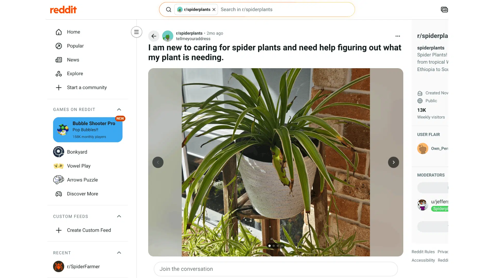 reddit post showing spider plant in white pot on wooden stand near brick wall with brown leaf tips and healthy green foliage indoor natural light scene