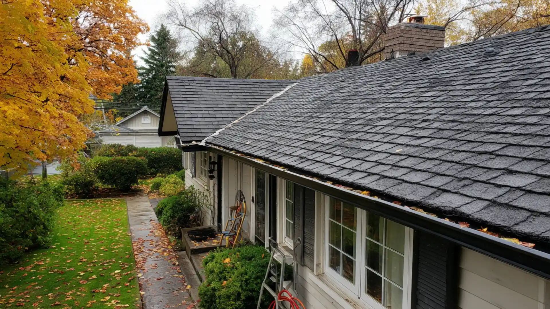 slate roof and house exterior with textured tile pattern