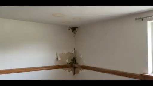 Damaged wall and ceiling with mold growth in poorly lit room corner
