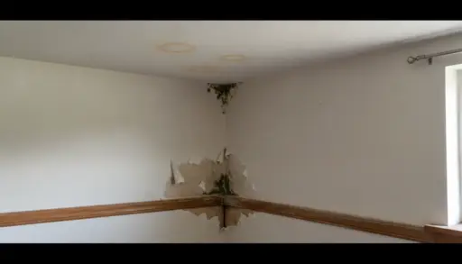Damaged wall and ceiling with mold growth in poorly lit room corner
