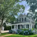 Gray shingle house with blue hydrangeas and large tree in bright garden setting