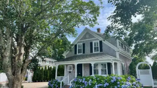 Gray shingle house with blue hydrangeas and large tree in bright garden setting