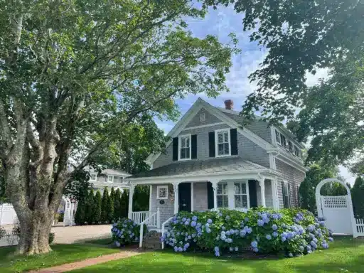 Gray shingle house with blue hydrangeas and large tree in bright garden setting