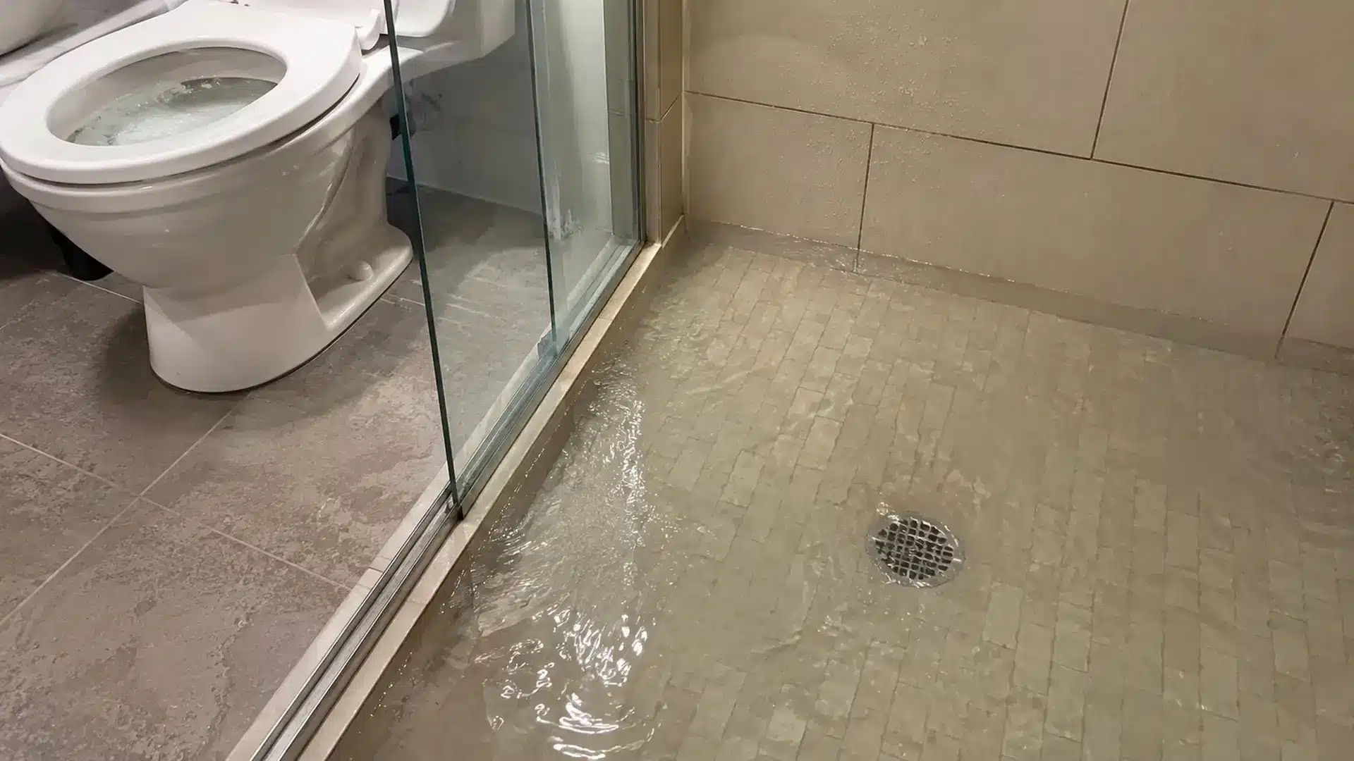 water backing up through shower drain beside toilet in modern bathroom during sewer line blockage