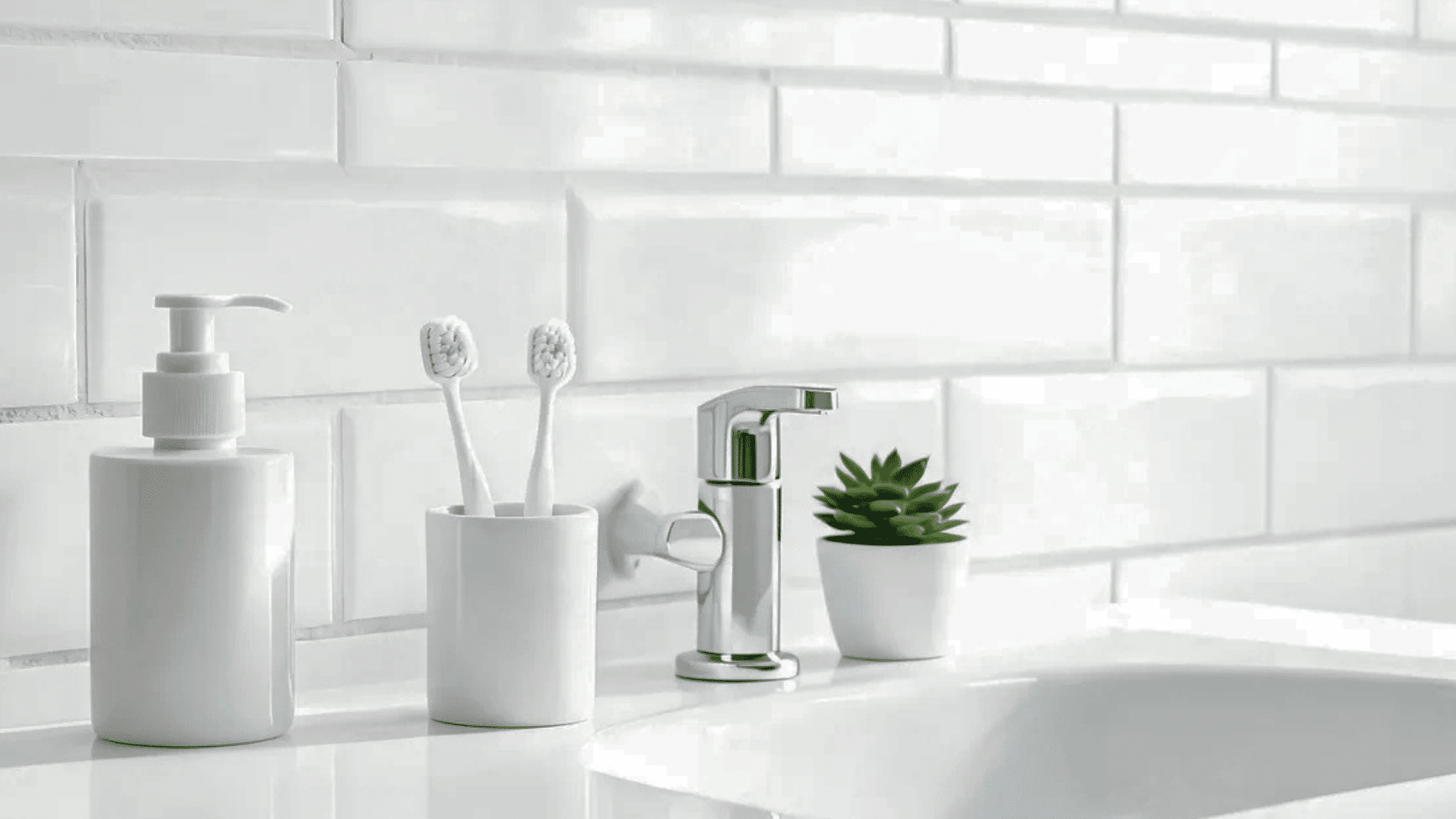 white sink with soap dispenser toothbrushes and small green plant on countertop