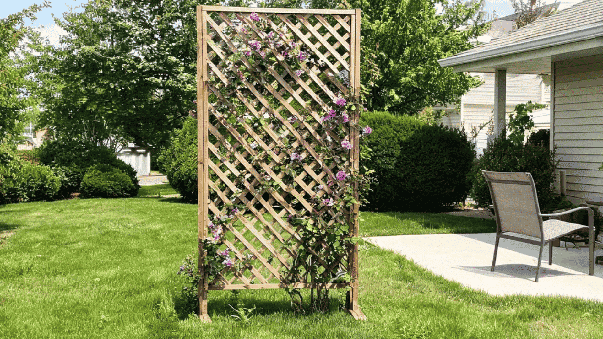 wooden lattice trellis with flowering vines standing on a green lawn beside a patio