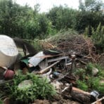 Yard Waste Removal in Edmonton — A Summer Homeowner's Guide