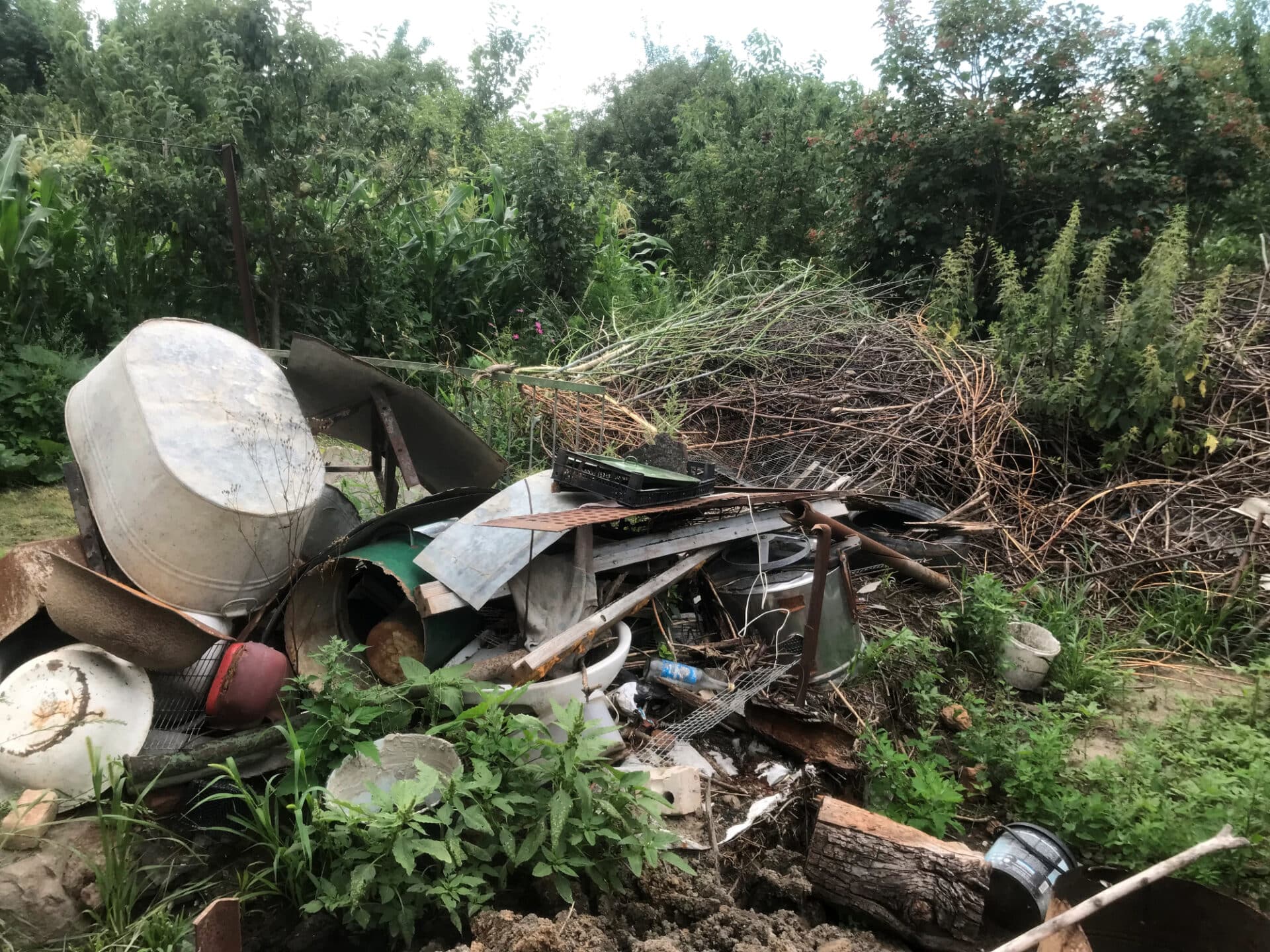 Yard Waste Removal in Edmonton — A Summer Homeowner's Guide