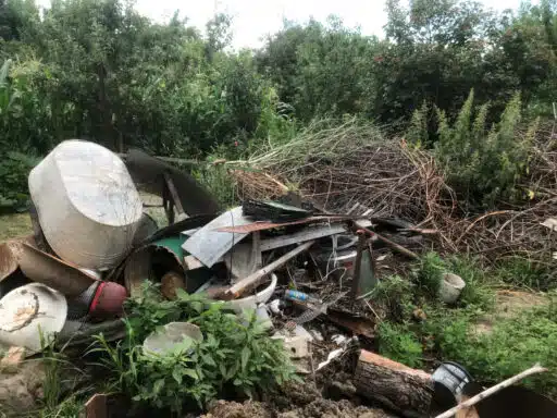 Yard Waste Removal in Edmonton — A Summer Homeowner's Guide